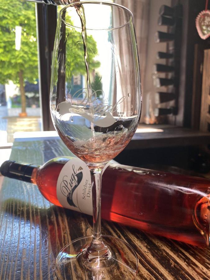 Weingut Pugl Apartment Leibnitz Ngoại thất bức ảnh
