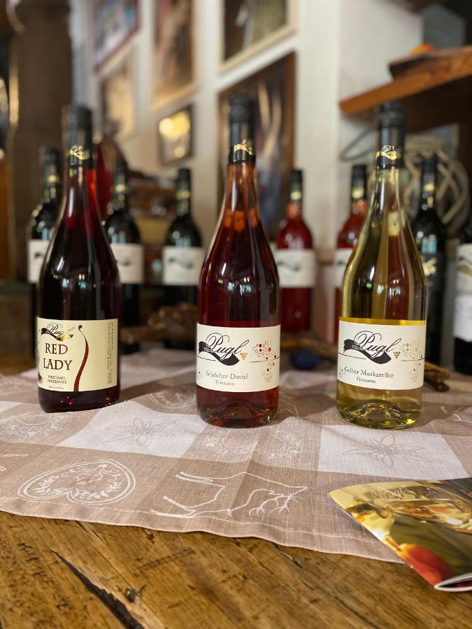 Weingut Pugl Apartment Leibnitz Ngoại thất bức ảnh