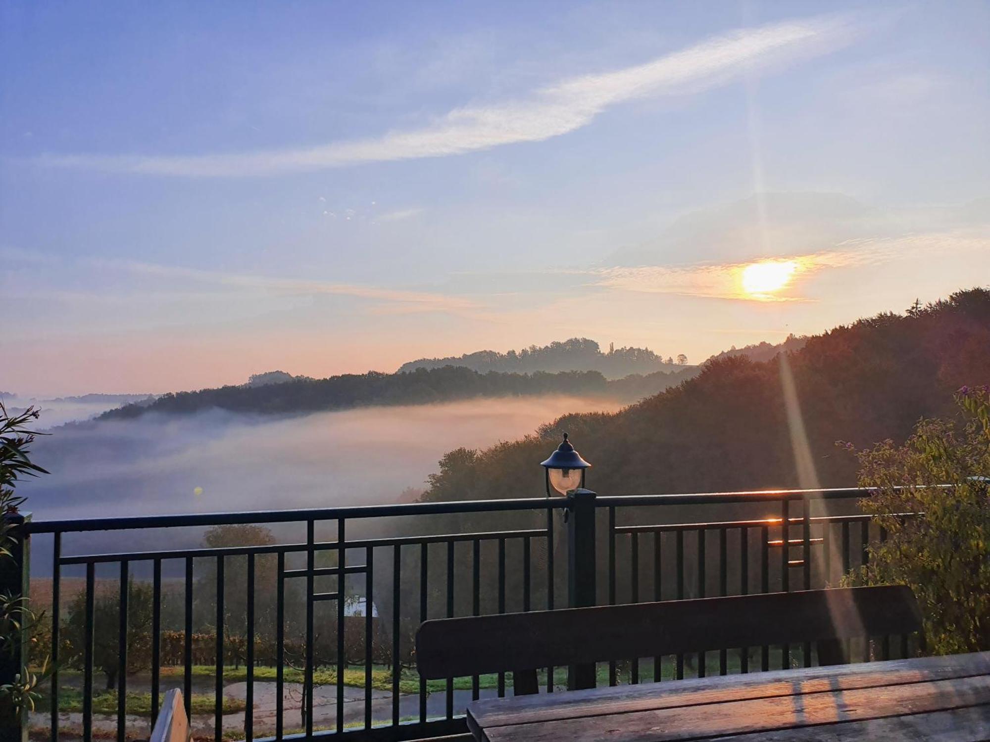 Weingut Pugl Apartment Leibnitz Ngoại thất bức ảnh