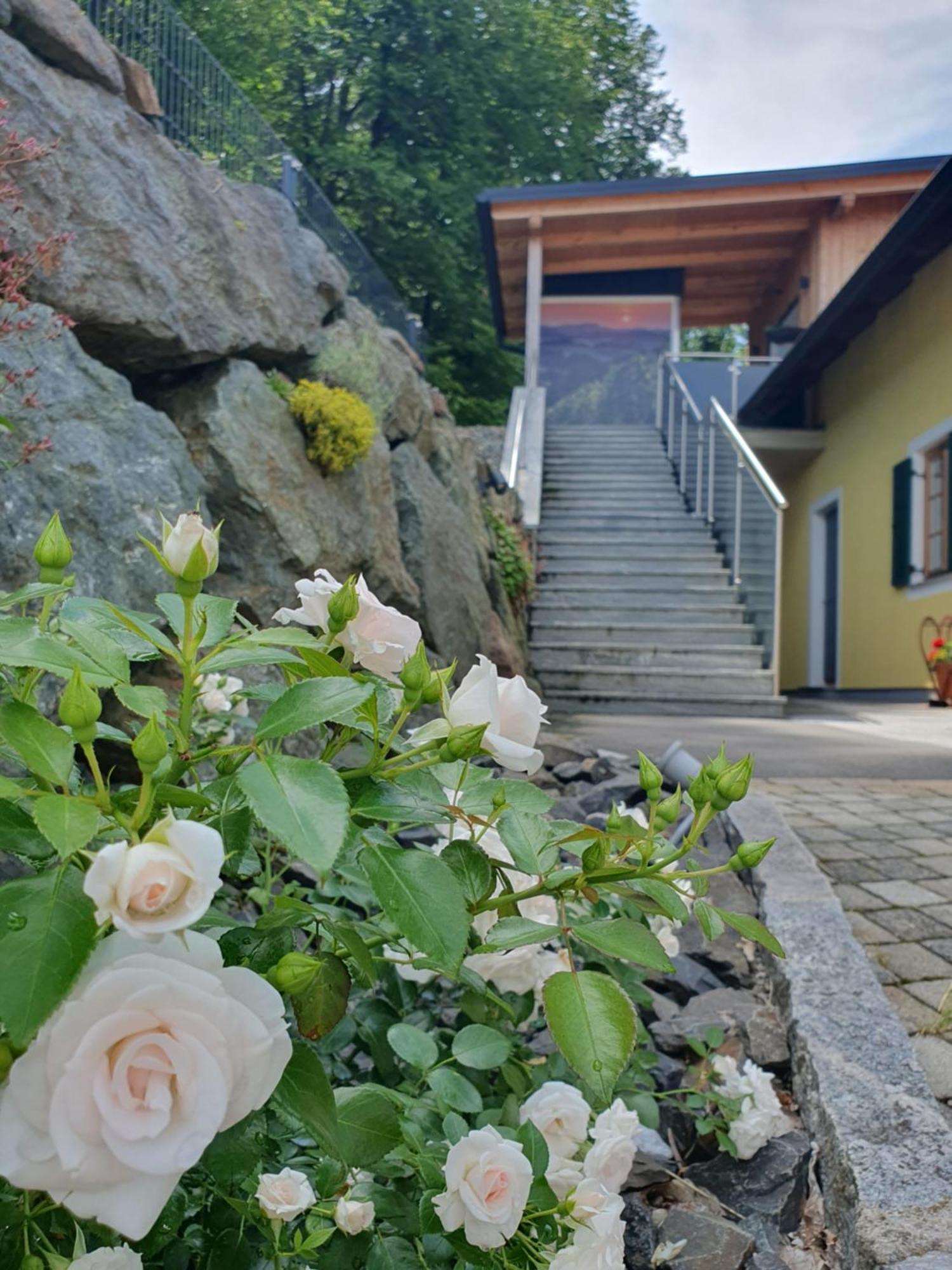 Weingut Pugl Apartment Leibnitz Ngoại thất bức ảnh