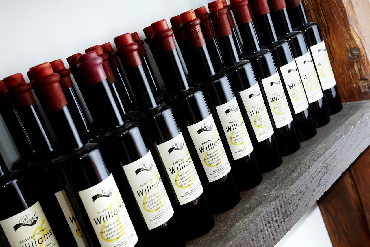 Weingut Pugl Apartment Leibnitz Ngoại thất bức ảnh