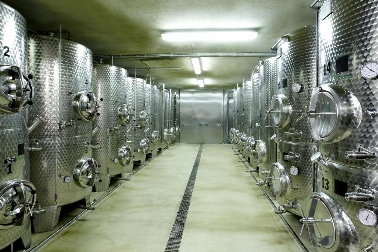 Weingut Pugl Apartment Leibnitz Ngoại thất bức ảnh