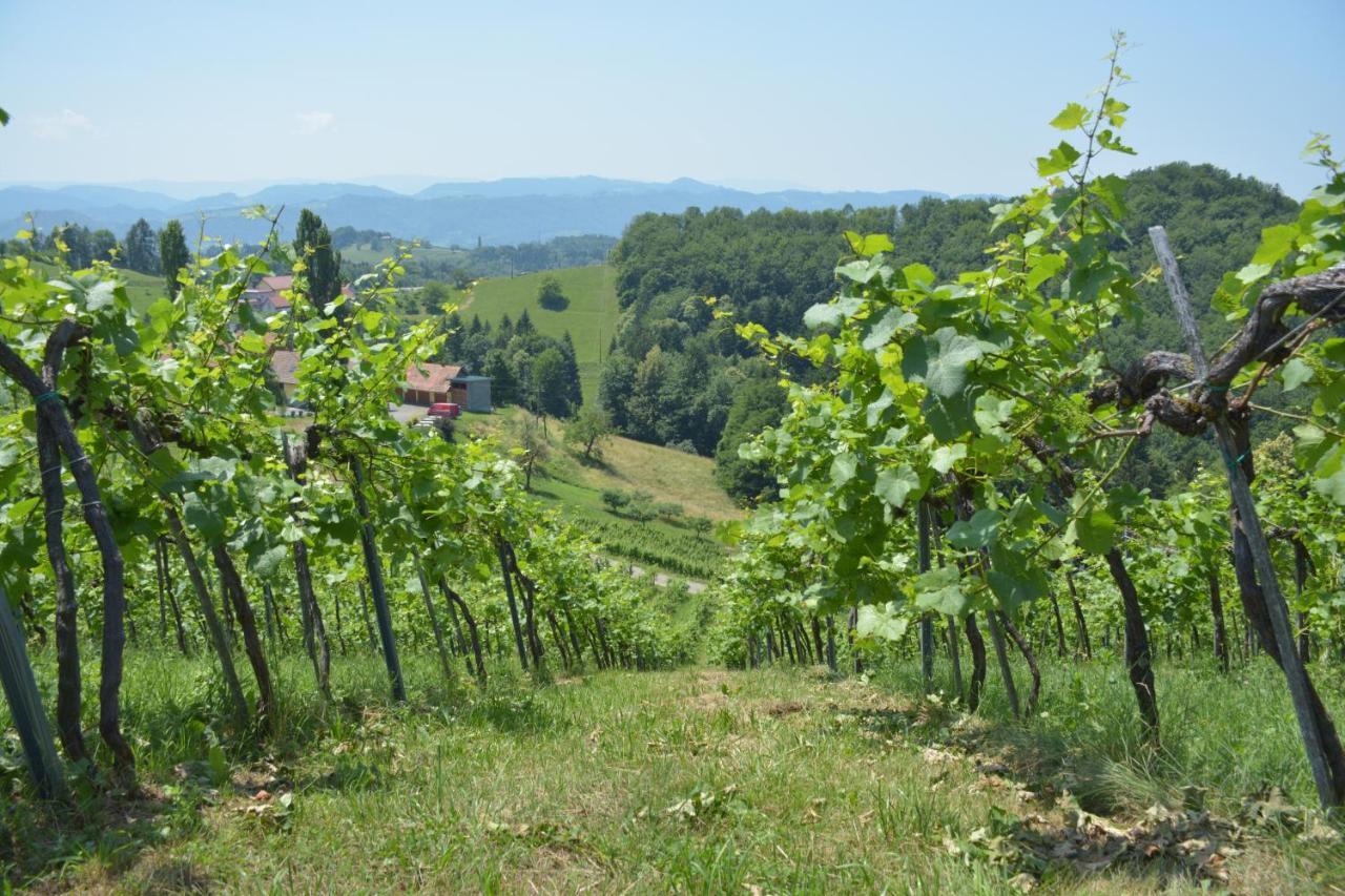 Weingut Pugl Apartment Leibnitz Ngoại thất bức ảnh